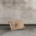 Sofa cushion