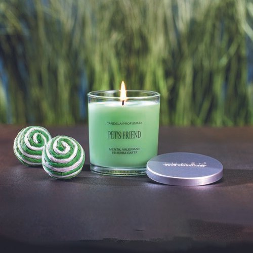 non-toxic candles_2
